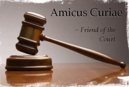 amicus curiae