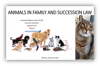 Animals in Family and Succesional Law