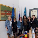 Obisk delegacije iz Romunije, junij 2017 - Slika 2