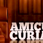 Praksa AMICUS CURIAE - Slika 1