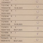 Rezultati pisni del CPP - Slika 3