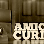 PRAKSA AMICUS CURIAE - Slika 1
