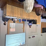 Slika 5: študentka Ana Veronika Borko predstavlja primere dobrih praks uporabe tehnologij na področju varnosti in zdravja pri delu