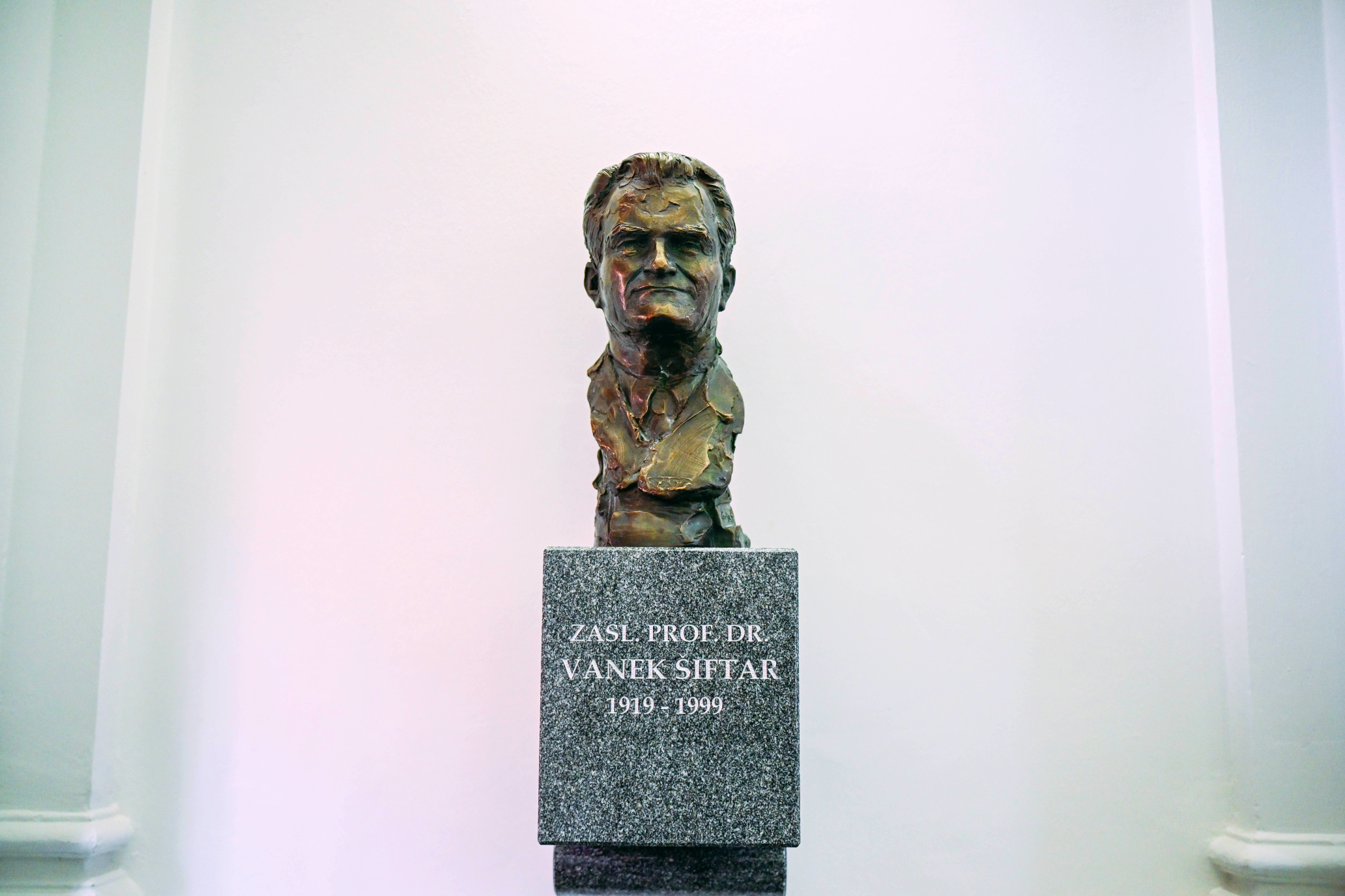 Portret zaslužnega profesorja dr. Vaneka Šiftarja Portret zaslužnega profesorja dr. Vaneka Šiftarja