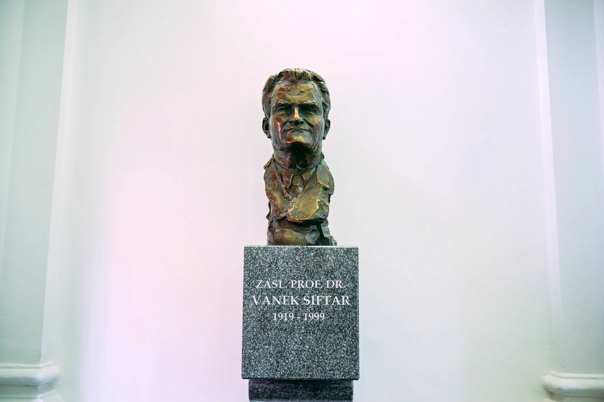 Portret zaslužnega profesorja dr. Vaneka Šiftarja