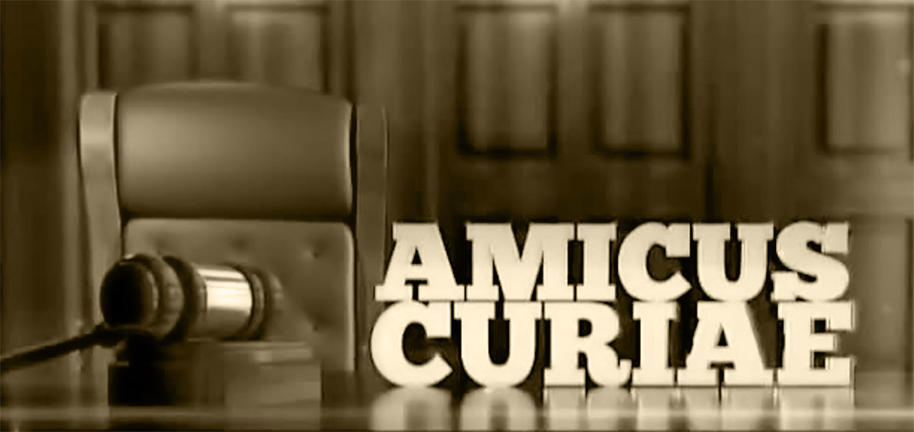Napis Amicus Curiae ter sodniško kladivo Napis Amicus Curiae ter sodniško kladivo