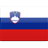 Slovenian flag icon - Link to the Slovenian page